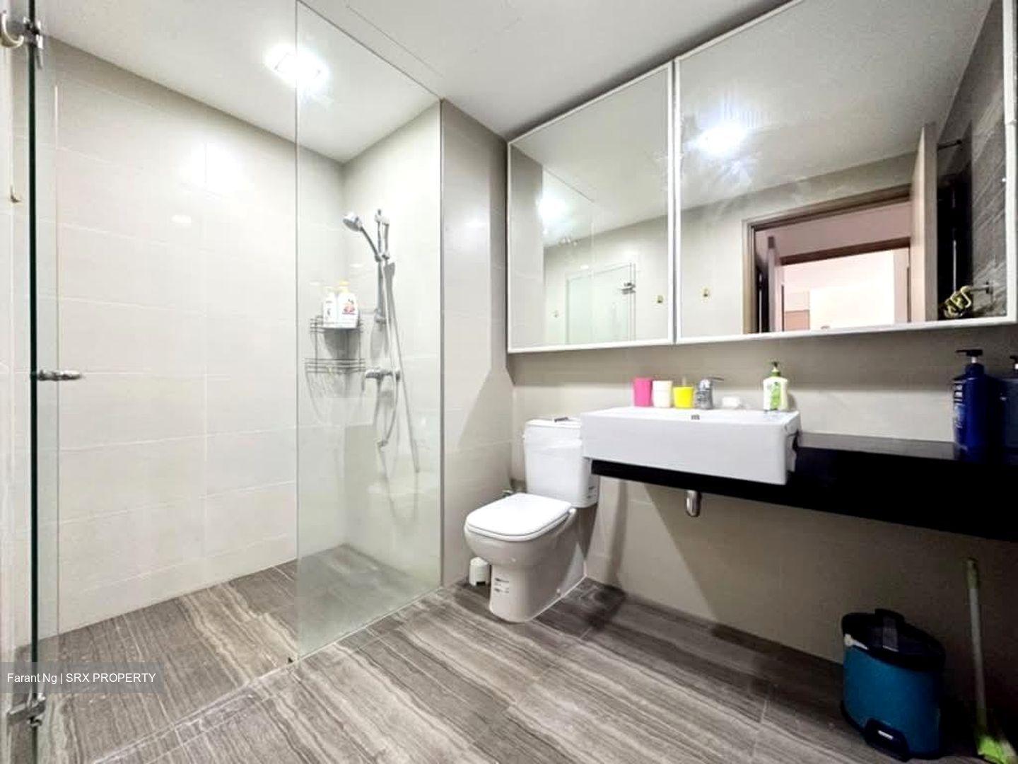 Waterfront Gold (D16), Condominium #573895621